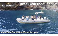Sea Safari Tenerife